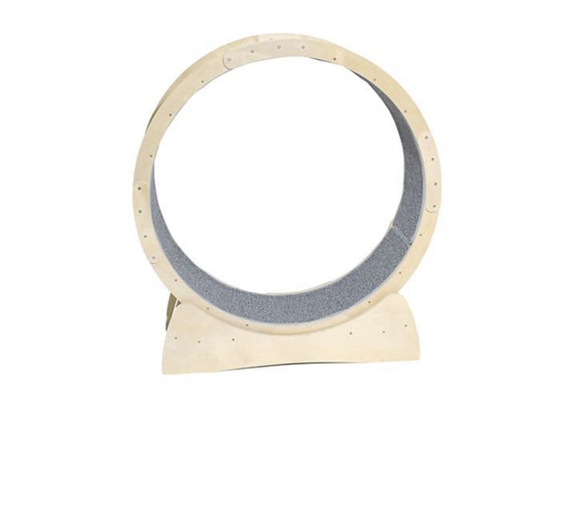 Cat Exercise Wheel – Modern Minimalist Fitness Wheel for Cats