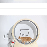 Cat Exercise Wheel – Modern Minimalist Fitness Wheel for Cats