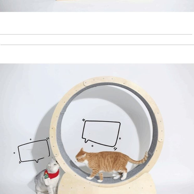 Cat Exercise Wheel – Modern Minimalist Fitness Wheel for Cats